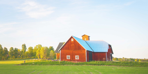 Farmhouse in the Country